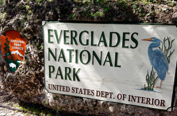 Le-Everglades