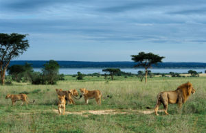 parchi nazionali Uganda