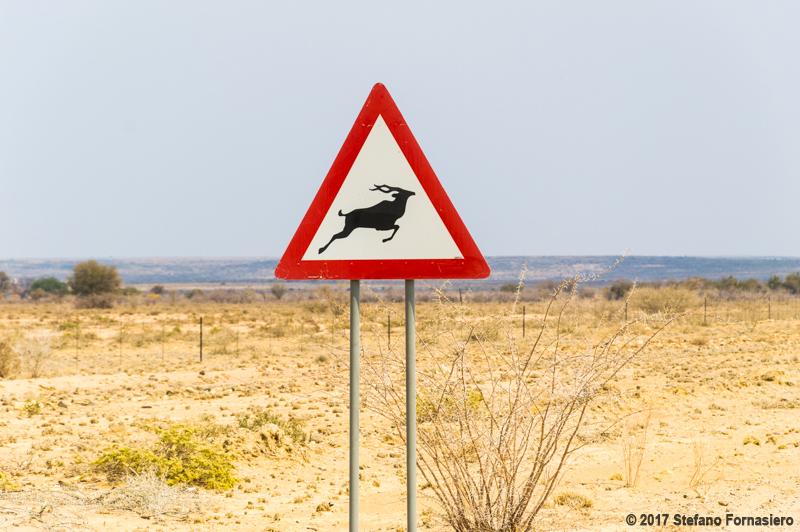 fly&drive namibia