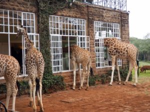 Giraffe Manor Casa hotel