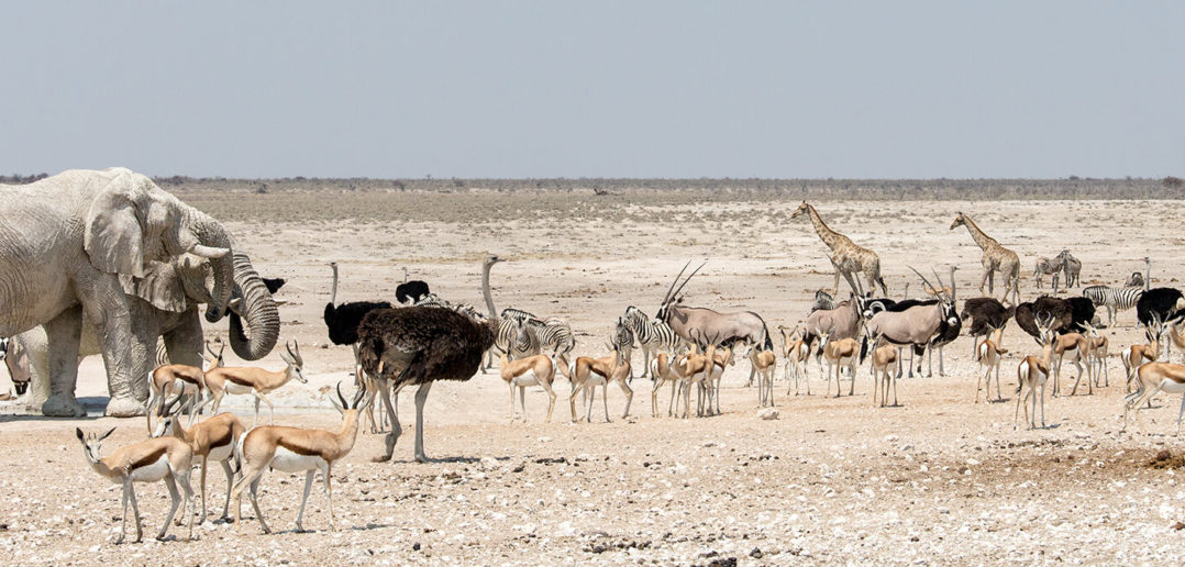 deserto namibia
