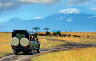 migliore safari africa