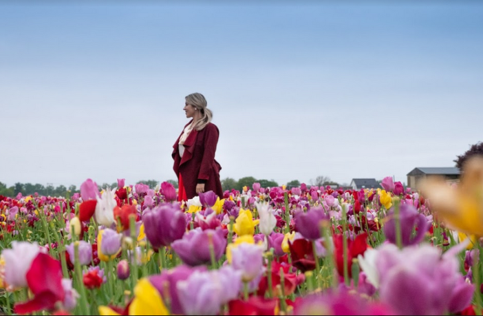 campo fiorito tulip