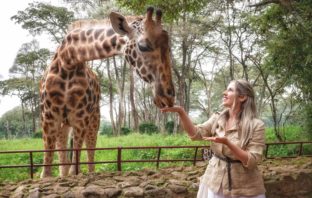 centro giraffe nairobi