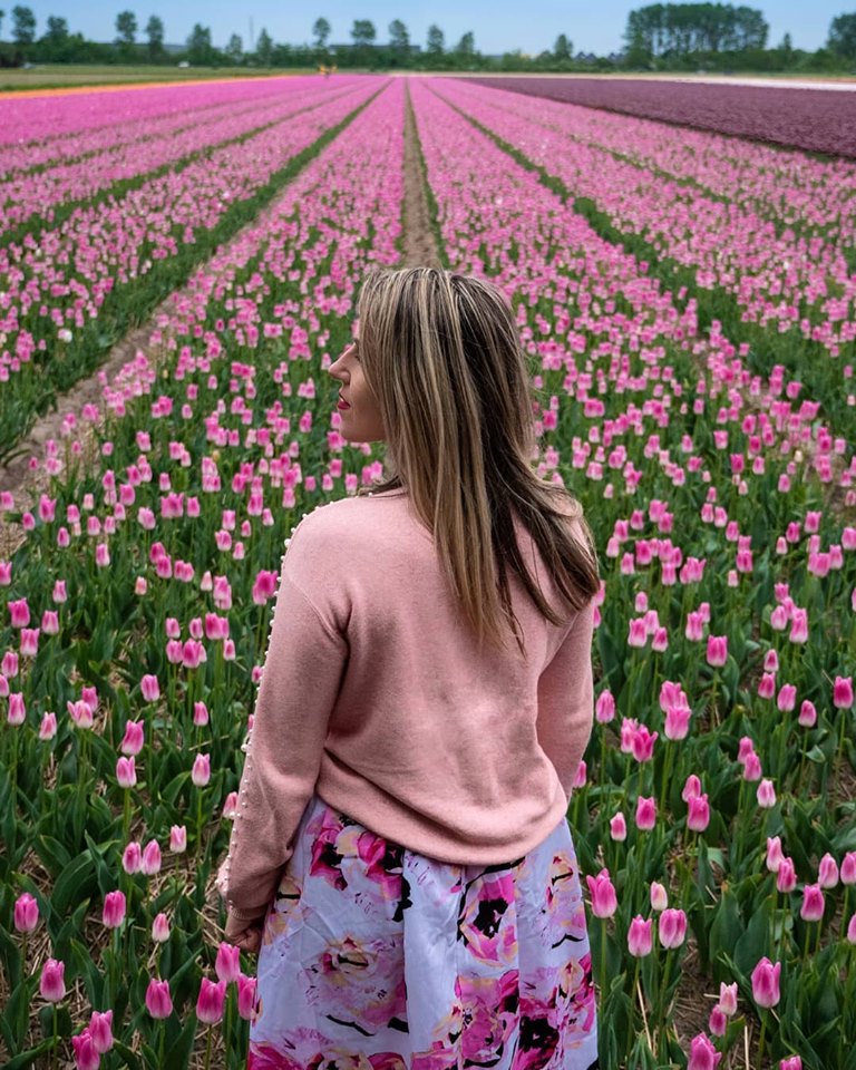 dove vedere i tulipani
